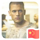 ZH的头像